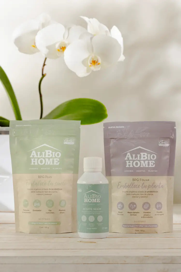 Kit para orquídeas