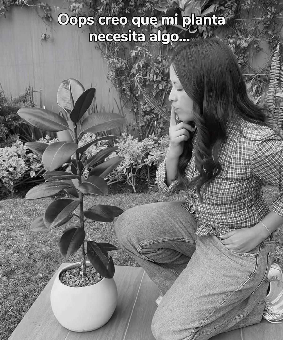 Tu planta se ve triste… tal vez no es falta de agua