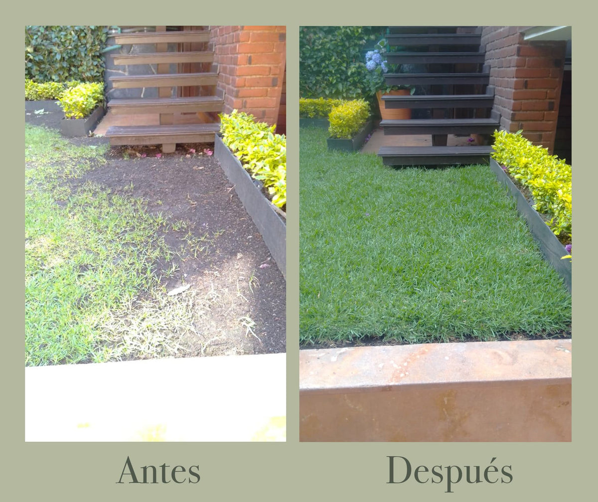 Pasto