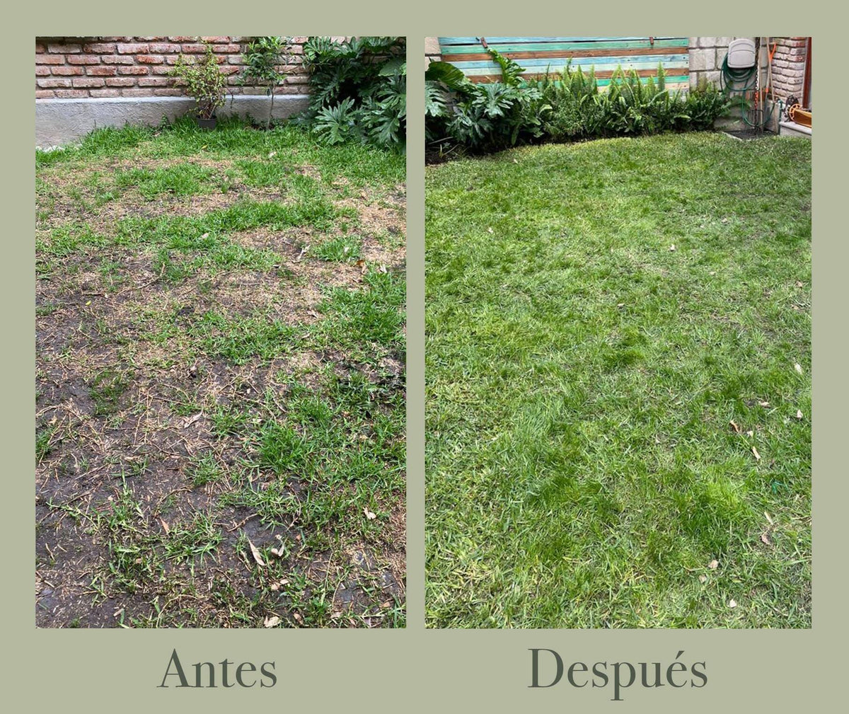 Pasto