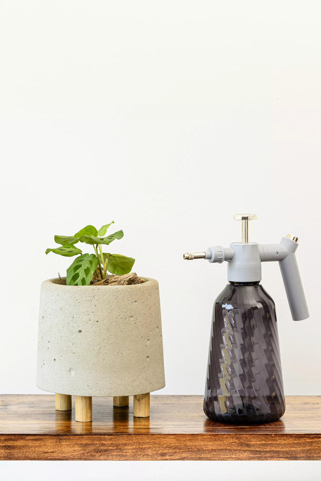 Rociador de 1.5 L para plantas