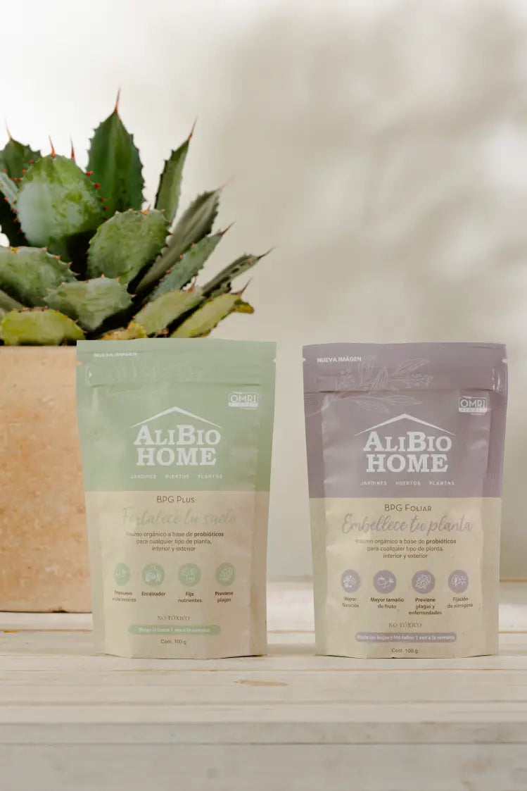 Kit de inicio para tus plantas