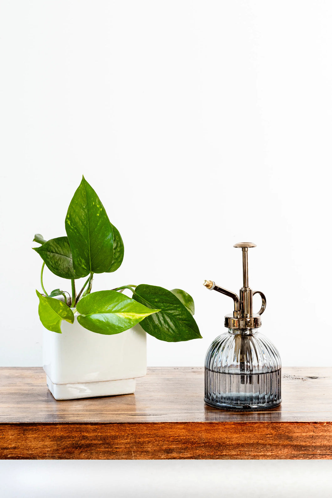 Rociador de 300ml para plantas